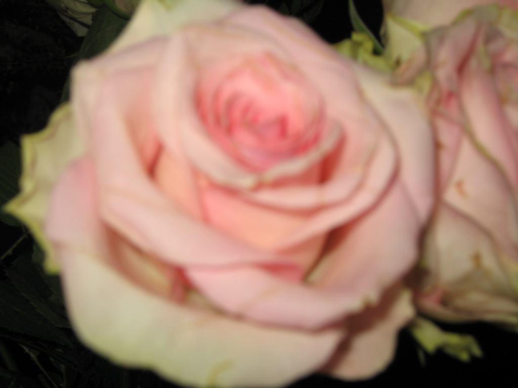 IMG_4099.JPG